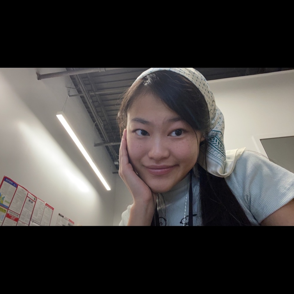 Meet your Posher, Ariel